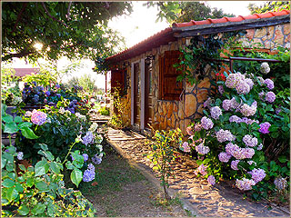 Το κτήμα της Αλέκας